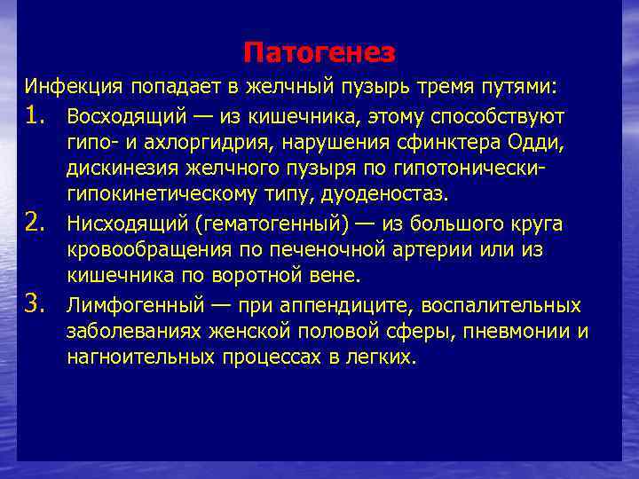 Патогенез Инфекция попадает в желчный пузырь тремя путями: 1. Восходящий — из кишечника, этому