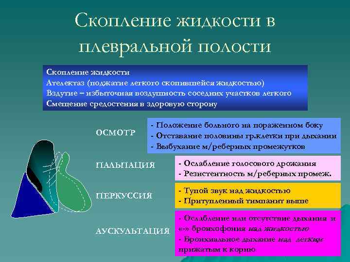 Скопление жидкости в плевральной полости Скопление жидкости Ателектаз (поджатие легкого скопившейся жидкостью) Вздутие –