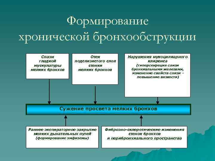 Формирование хронической бронхообструкции Спазм гладкой мускулатуры мелких бронхов Отек подслизистого слоя стенки мелких бронхов