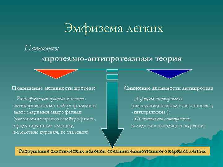 Эмфизема легких Патогенез: «протеазно-антипротеазная» теория Повышение активности протеаз: Снижение активности антипротеаз - Рост продукции