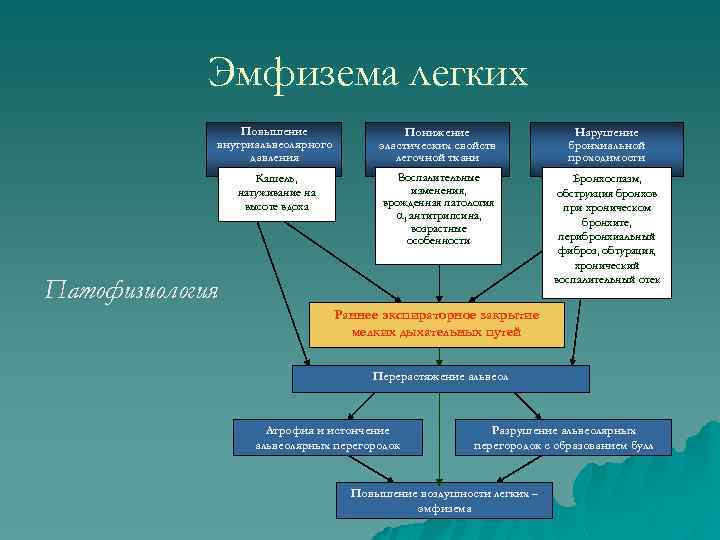 Эмфизема легких Повышение внутриальвеолярного давления Понижение эластических свойств легочной ткани Нарушение бронхиальной проходимости Кашель,