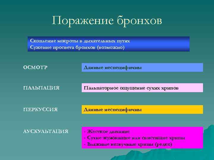 Поражение бронхов Скопление мокроты в дыхательных путях Сужение просвета бронхов (возможно) ОСМОТР Данные неспецифичны