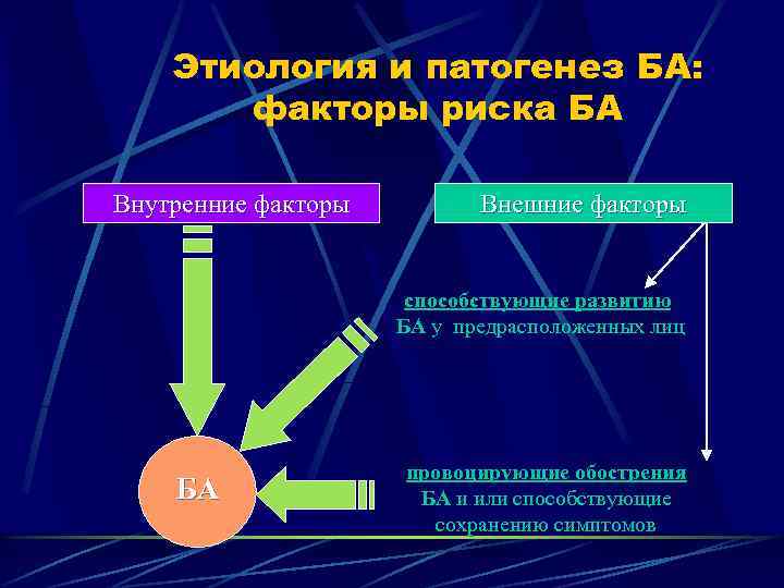 Этиология и патогенез БА: факторы риска БА Внутренние факторы Внешние факторы способствующие развитию БА