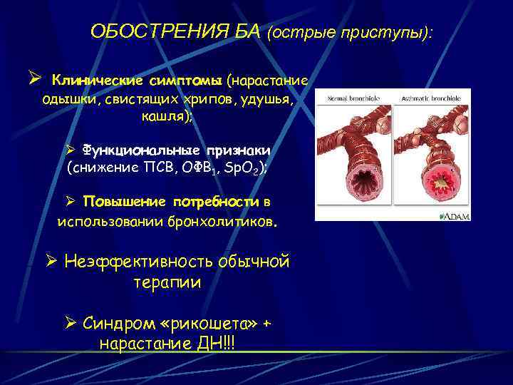 ОБОСТРЕНИЯ БА (острые приступы): Ø Клинические симптомы (нарастание одышки, свистящих хрипов, удушья, кашля); Ø