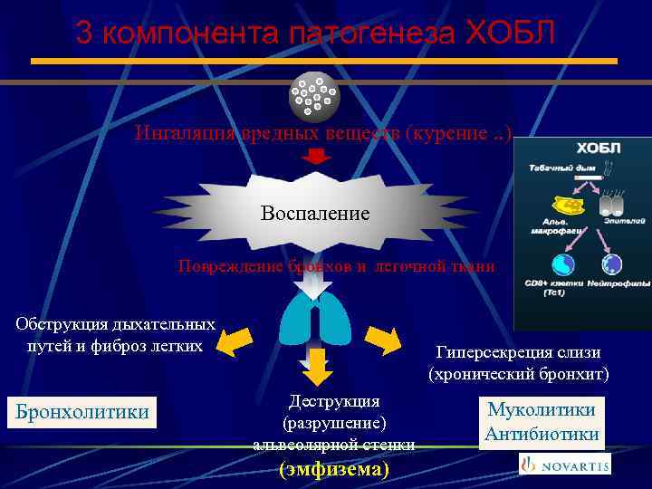 3 компонента патогенеза ХОБЛ Ингаляция вредных веществ (курение. . ) Воспаление Повреждение бронхов и