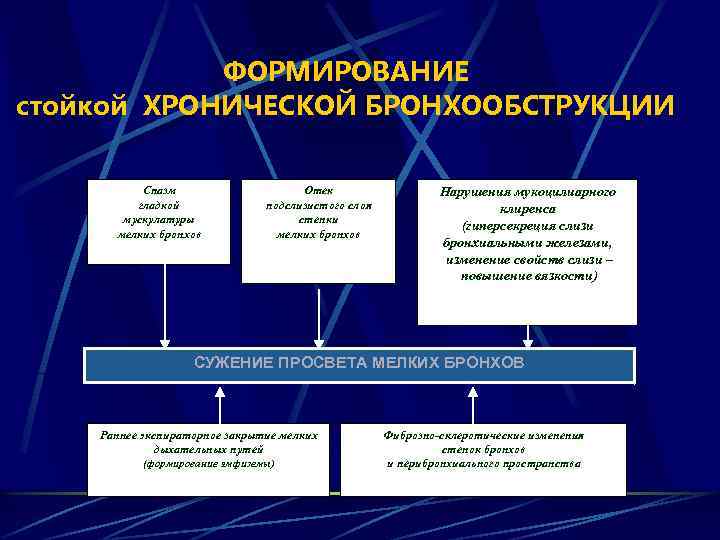 ФОРМИРОВАНИЕ стойкой ХРОНИЧЕСКОЙ БРОНХООБСТРУКЦИИ Спазм гладкой мускулатуры мелких бронхов Отек подслизистого слоя стенки мелких