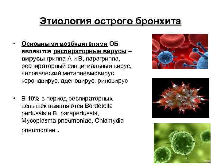 Этиология острого бронхита • Основными возбудителями ОБ являются респираторные вирусы – вирусы гриппа А