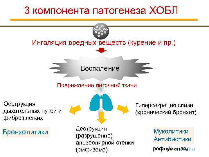 3 компонента патогенеза ХОБЛ Ингаляция вредных веществ (курение и пр. ) Воспаление Повреждение легочной