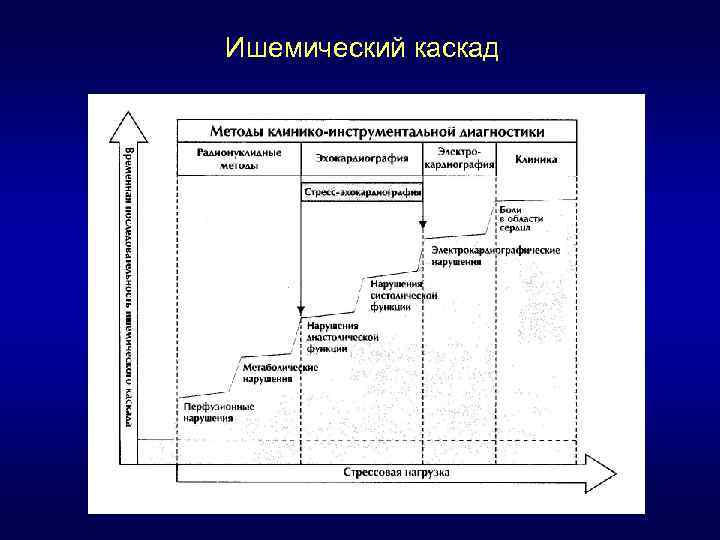 Ишемический каскад 