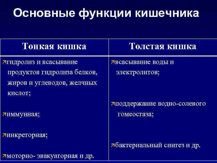 Основные функции кишечника Тонкая кишка ä гидролиз и всасывание продуктов гидролиза белков, жиров и