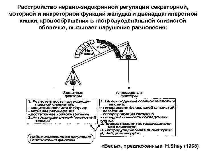 Расстройство нервно-эндокринной регуляции секреторной, моторной и инкреторной функций желудка и двенадцатиперстной кишки, кровообращения в
