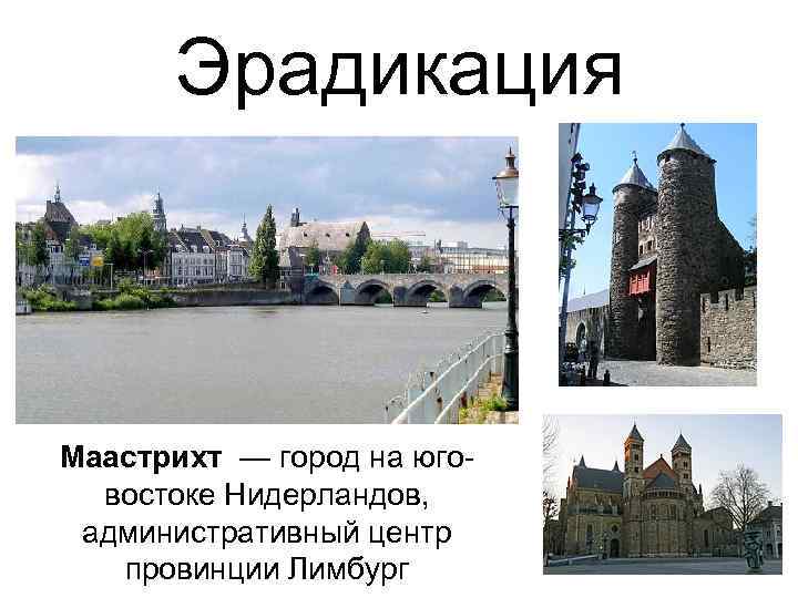 Эрадикация Маастрихт — город на юговостоке Нидерландов, административный центр провинции Лимбург 