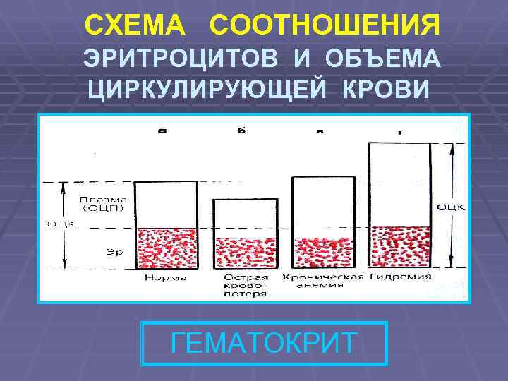 Анемия пропедевтика внутренних болезней презентация