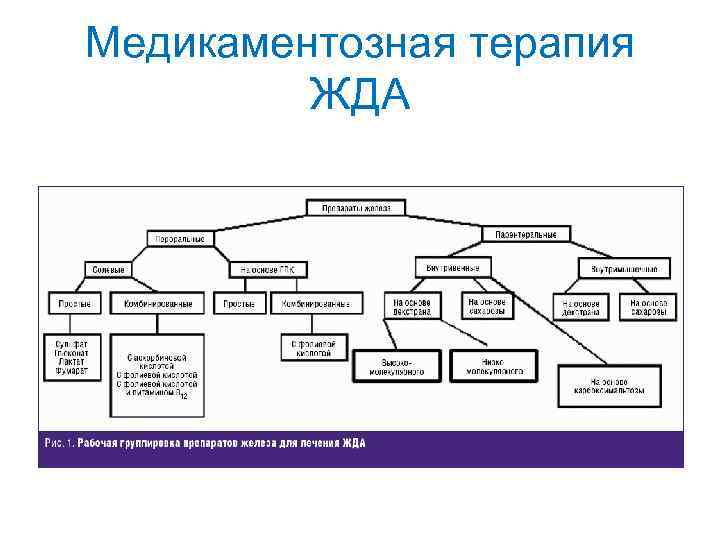 Медикаментозная терапия ЖДА 