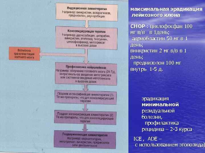 максимальная эрадикация лейкозного клона CHOP : циклофосфан 100 мг в/в в 1 день; адриобластин