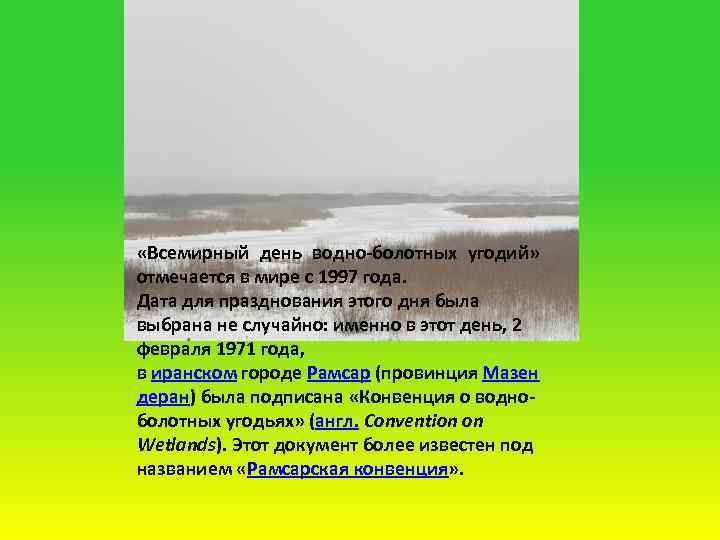  «Всемирный день водно-болотных угодий» отмечается в мире с 1997 года. Дата для празднования