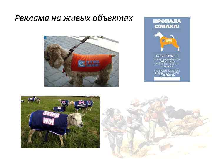 Реклама на живых объектах 