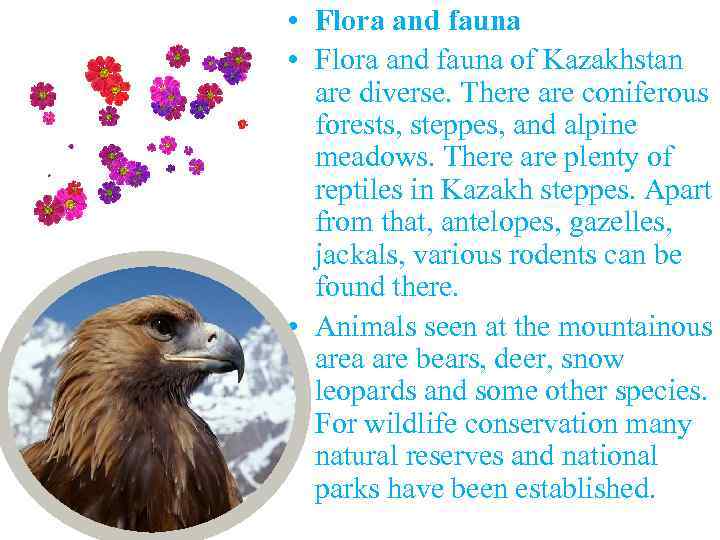  • Flora and fauna of Kazakhstan are diverse. There are coniferous forests, steppes,