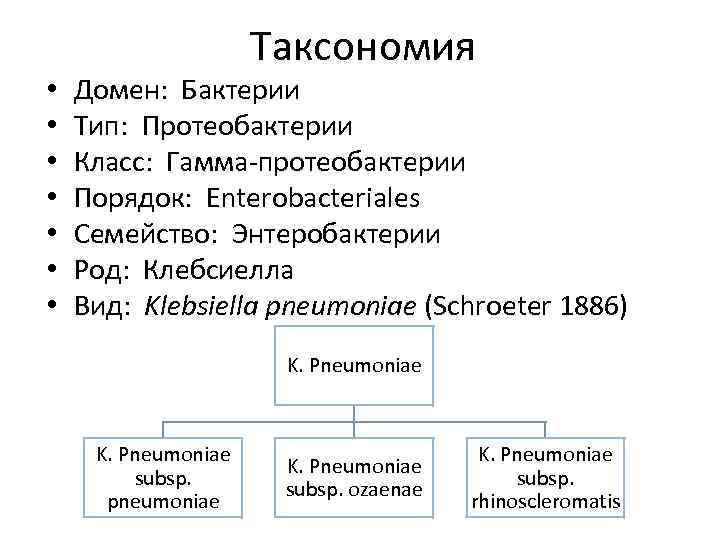 Таксономия • • Домен: Бактерии Тип: Протеобактерии Класс: Гамма-протеобактерии Порядок: Enterobacteriales Семейство: Энтеробактерии Род: