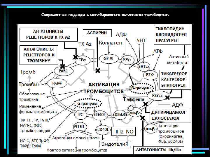 Современные подходы к ингибированию активности тромбоцитов 