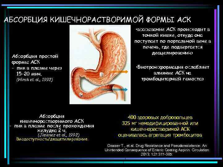 АБСОРБЦИЯ КИШЕЧНОРАСТВОРИМОЙ ФОРМЫ АСК Абсорбция простой формы АСК - пик в плазме через 15
