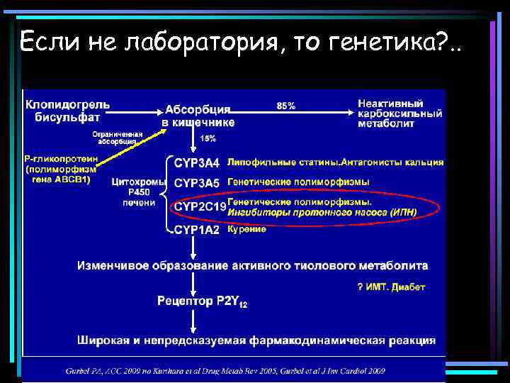 Если не лаборатория, то генетика? . . 