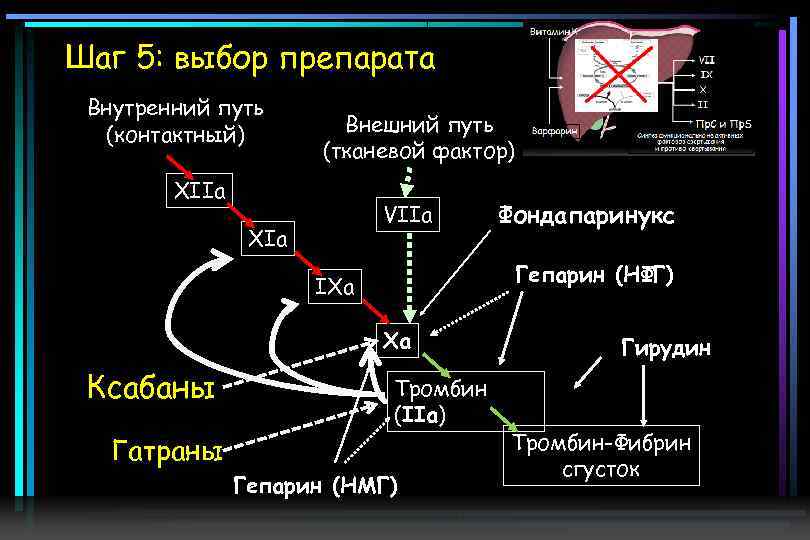 Шаг 5: выбор препарата Внутренний путь (контактный) Внешний путь (тканевой фактор) XIIa VIIa XIa