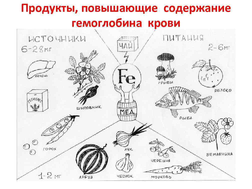 Продукты, повышающие содержание гемоглобина крови 