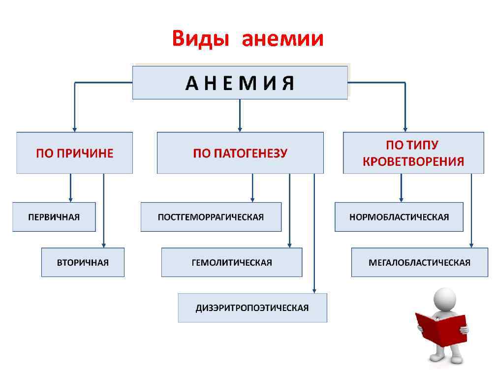 Виды анемии 