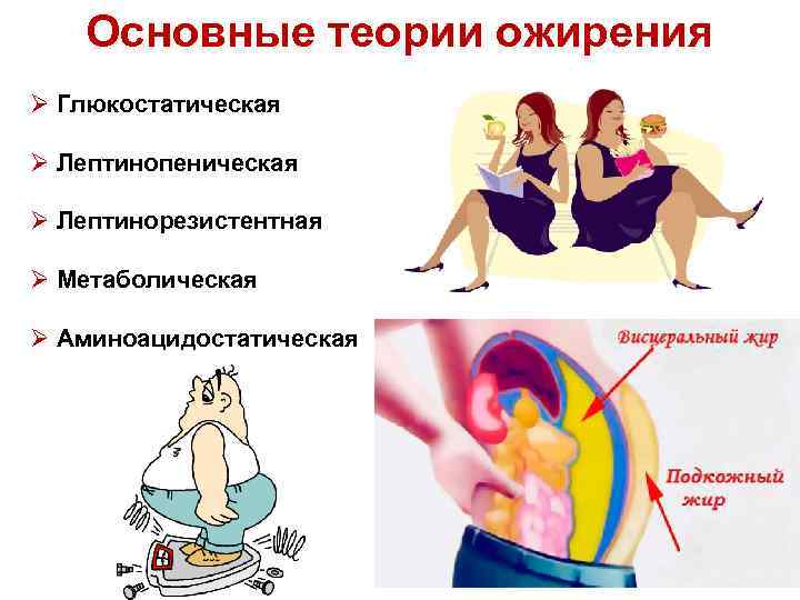 Основные теории ожирения Ø Глюкостатическая Ø Лептинопеническая Ø Лептинорезистентная Ø Метаболическая Ø Аминоацидостатическая 