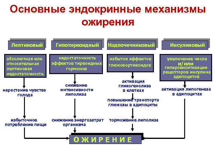 Основные эндокринные механизмы ожирения Лептиновый абсолютная или относительная лептиновая недостаточность нарастание чувства голода Гипотиреоидный