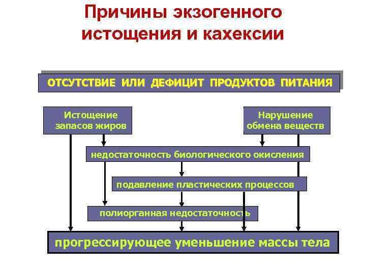 Схема патогенеза раковой кахексии патофизиология