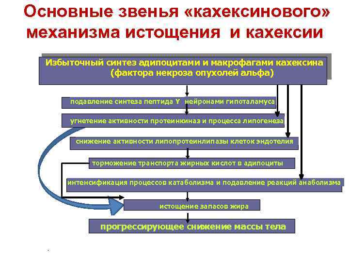 Схема патогенеза раковой кахексии патофизиология