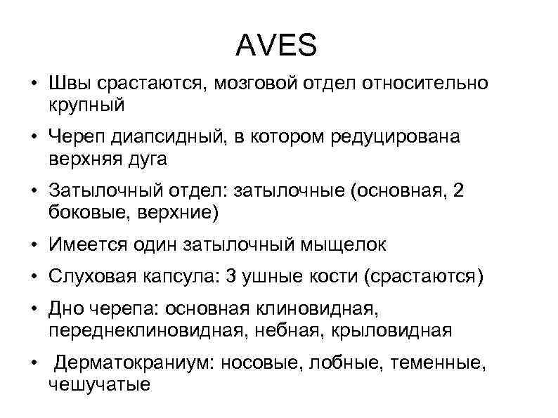 AVES • Швы срастаются, мозговой отдел относительно крупный • Череп диапсидный, в котором редуцирована