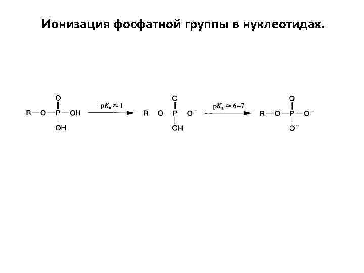 Ионизация фосфатной группы в нуклеотидах. 