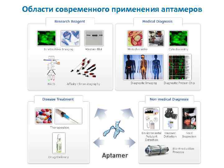 Области современного применения аптамеров 