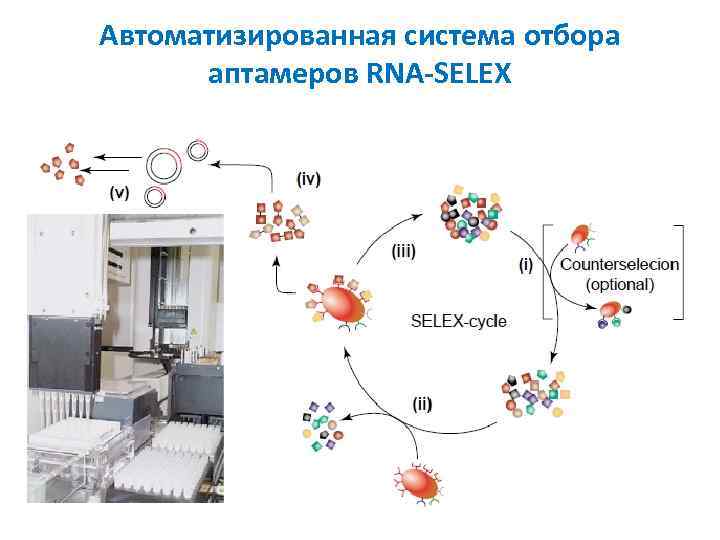 Автоматизированная система отбора аптамеров RNA-SELEX 