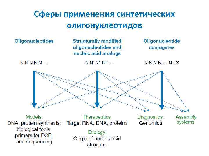 Сферы применения синтетических олигонуклеотидов 