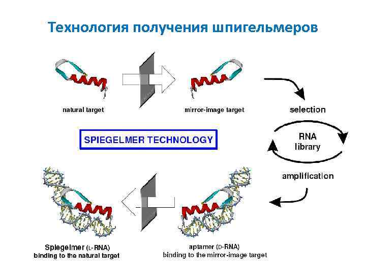 Технология получения шпигельмеров 