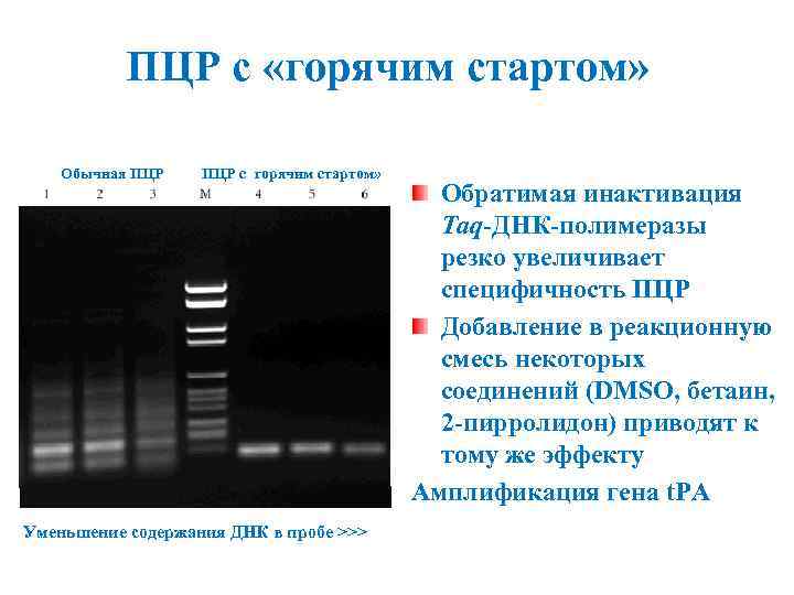 ПЦР с «горячим стартом» Обычная ПЦР с горячим стартом» Уменьшение содержания ДНК в пробе