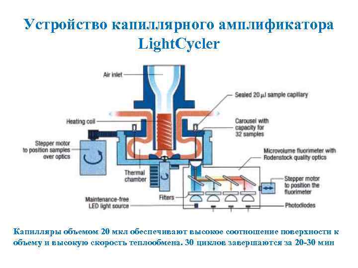 Устройство капиллярного амплификатора Light. Cycler Капилляры объемом 20 мкл обеспечивают высокое соотношение поверхности к