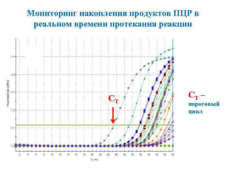 Мониторинг накопления продуктов ПЦР в реальном времени протекания реакции СT СT – пороговый цикл