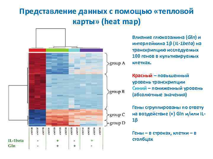 Представление данных с помощью «тепловой карты» (heat map) Влияние глюкозамина (Gln) и интерлейкина 1β