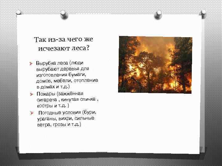 Так из-за чего же исчезают леса? Ø Вырубка леса (люди вырубают деревья для изготовления