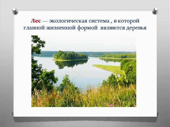 Лес — экологическая система , в которой главной жизненной формой являются деревья 