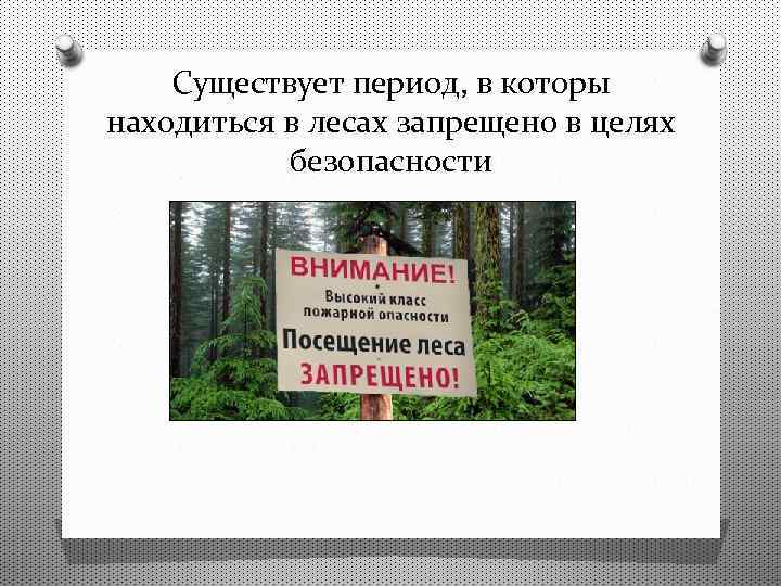 Существует период, в которы находиться в лесах запрещено в целях безопасности 