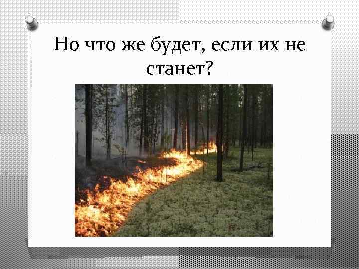 Но что же будет, если их не станет? 