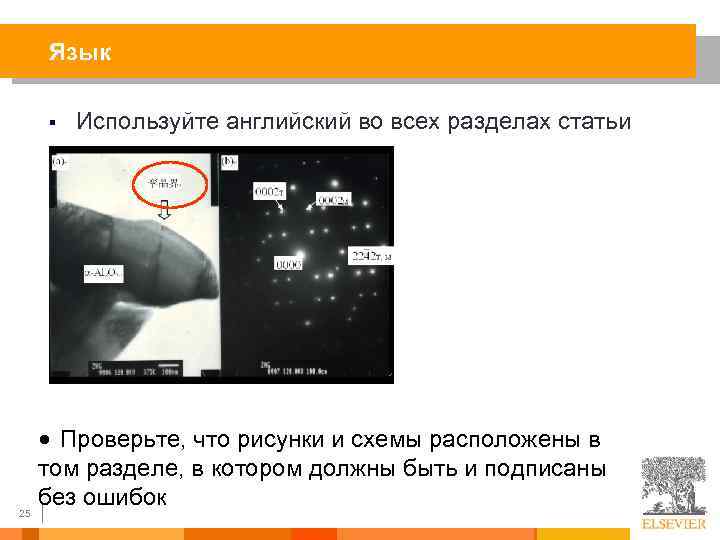 Язык § 25 Используйте английский во всех разделах статьи … • Проверьте, что рисунки