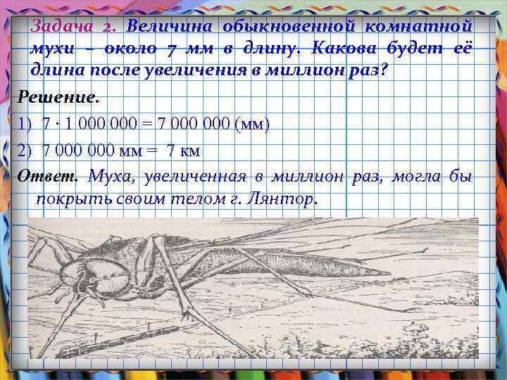 Задача 2. Величина обыкновенной комнатной мухи – около 7 мм в длину. Какова будет