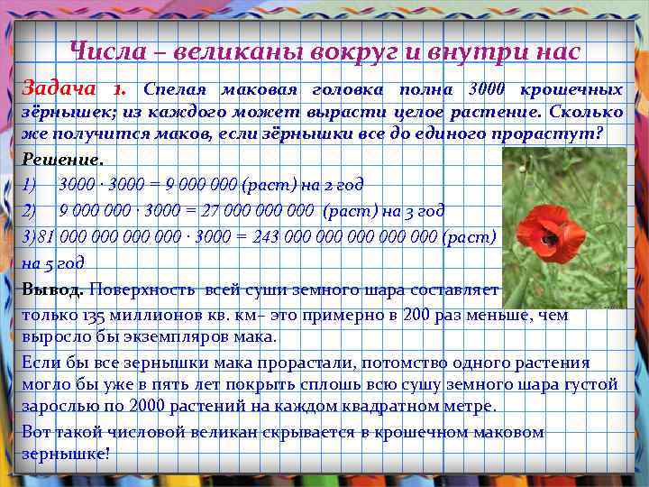 Числа – великаны вокруг и внутри нас Задача 1. Спелая маковая головка полна 3000